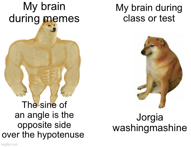 I can tell you that this meme is a true statement | My brain during memes; My brain during class or test; The sine of an angle is the opposite side over the hypotenuse; Jorgia washingmashine | image tagged in memes,buff doge vs cheems,dumb,school vs memes | made w/ Imgflip meme maker