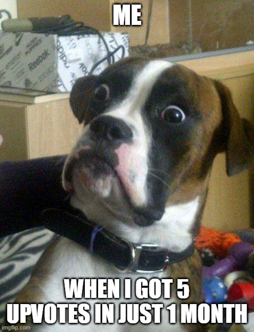 I finally have 5 upvotes | ME; WHEN I GOT 5 UPVOTES IN JUST 1 MONTH | image tagged in blankie the shocked dog | made w/ Imgflip meme maker