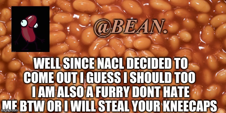 Pls dont hate me | WELL SINCE NACL DECIDED TO COME OUT I GUESS I SHOULD TOO; I AM ALSO A FURRY DONT HATE ME BTW OR I WILL STEAL YOUR KNEECAPS | made w/ Imgflip meme maker