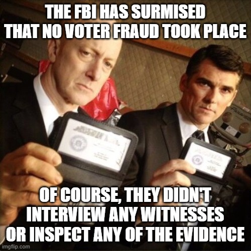 FBI | THE FBI HAS SURMISED THAT NO VOTER FRAUD TOOK PLACE; OF COURSE, THEY DIDN'T INTERVIEW ANY WITNESSES OR INSPECT ANY OF THE EVIDENCE | image tagged in fbi | made w/ Imgflip meme maker