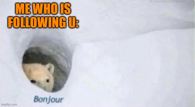 Bonjour Bear | ME WHO IS FOLLOWING U: | image tagged in bonjour bear | made w/ Imgflip meme maker