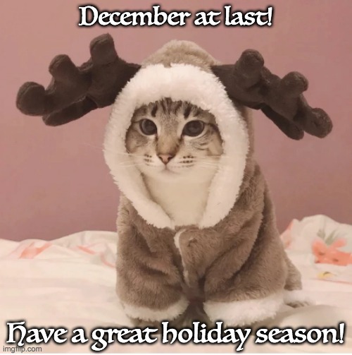 Reindeer Cat | December at last! Have a great holiday season! | image tagged in december,holidays,cat,cute | made w/ Imgflip meme maker