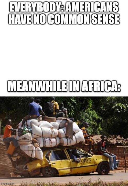 lol | EVERYBODY: AMERICANS HAVE NO COMMON SENSE; MEANWHILE IN AFRICA: | image tagged in blank white template | made w/ Imgflip meme maker