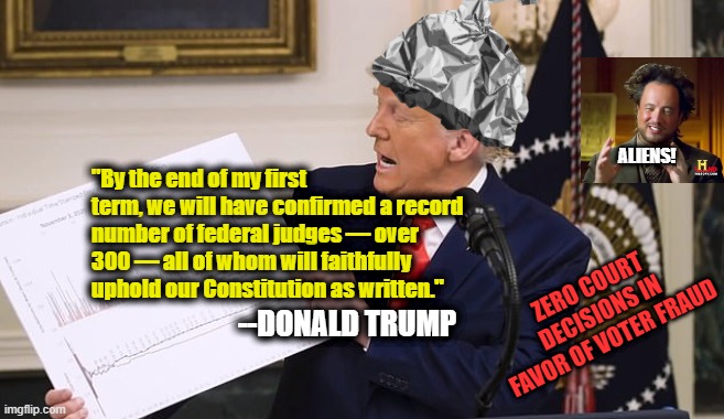 Tinfoil fruad | "By the end of my first term, we will have confirmed a record number of federal judges — over 300 — all of whom will faithfully uphold our Constitution as written."; ALIENS! ZERO COURT DECISIONS IN FAVOR OF VOTER FRAUD; --DONALD TRUMP | image tagged in tinfoil hat,voter fraud,trump | made w/ Imgflip meme maker