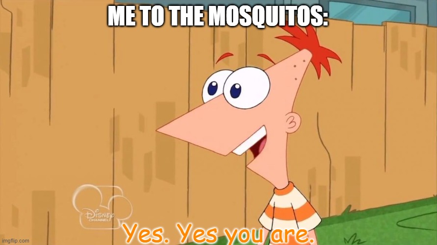 Yes Phineas | ME TO THE MOSQUITOS: Yes. Yes you are. | image tagged in yes phineas | made w/ Imgflip meme maker