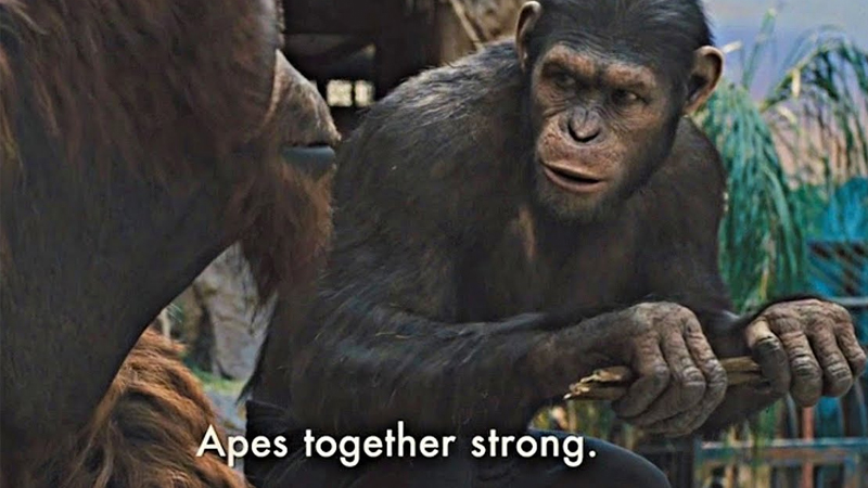 Apes together strong. Blank Meme Template