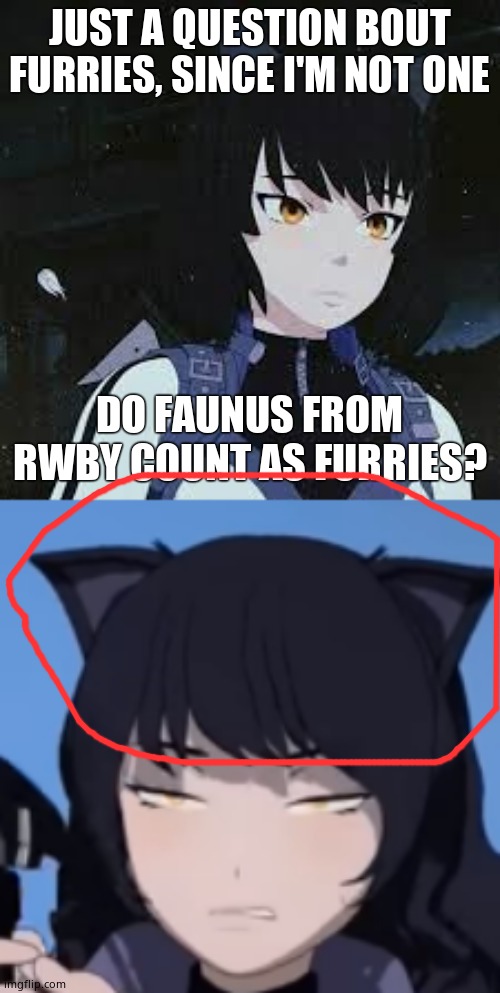 JUST A QUESTION BOUT FURRIES, SINCE I'M NOT ONE; DO FAUNUS FROM RWBY COUNT AS FURRIES? | image tagged in rwby blake,rwby - disturbed blake | made w/ Imgflip meme maker