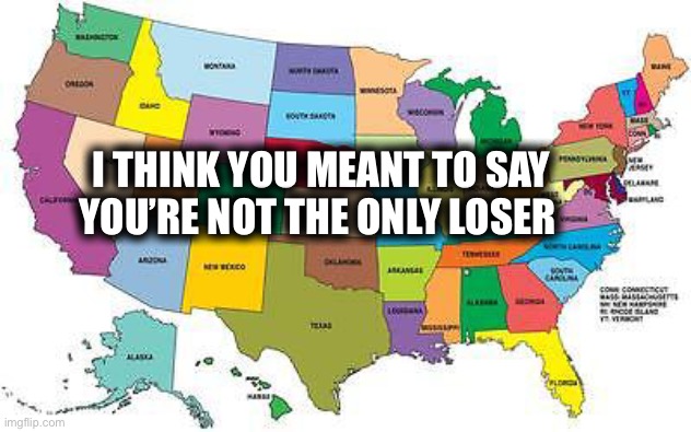 USA map | I THINK YOU MEANT TO SAY
YOU’RE NOT THE ONLY LOSER | image tagged in usa map | made w/ Imgflip meme maker