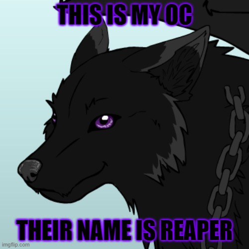 Here's mine | THIS IS MY OC; THEIR NAME IS REAPER | image tagged in oc,furry | made w/ Imgflip meme maker