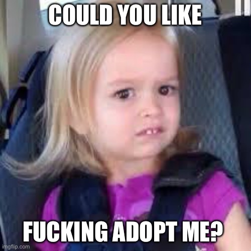 Could you fucking not | COULD YOU LIKE; FUCKING ADOPT ME? | image tagged in could you fucking not | made w/ Imgflip meme maker