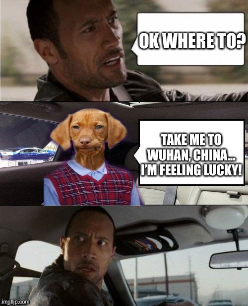 Rock Driving Bad Luck Raydog | OK WHERE TO? TAKE ME TO WUHAN, CHINA... I’M FEELING LUCKY! | image tagged in rock driving bad luck raydog | made w/ Imgflip meme maker