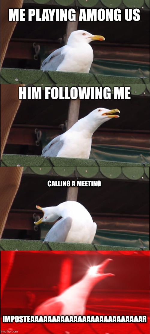 Inhaling Seagull | ME PLAYING AMONG US; HIM FOLLOWING ME; CALLING A MEETING; IMPOSTEAAAAAAAAAAAAAAAAAAAAAAAAAAR | image tagged in memes,inhaling seagull | made w/ Imgflip meme maker