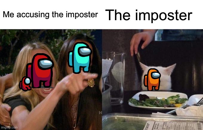 Woman Yelling At Cat Meme | Me accusing the imposter; The imposter | image tagged in memes,woman yelling at cat | made w/ Imgflip meme maker