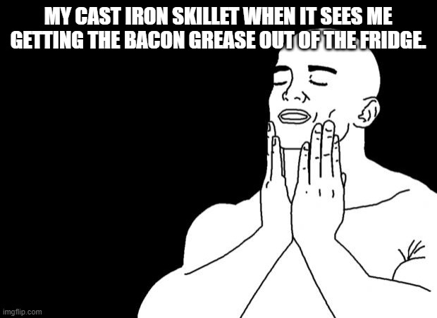 Ahhh. Seasoning | MY CAST IRON SKILLET WHEN IT SEES ME GETTING THE BACON GREASE OUT OF THE FRIDGE. | image tagged in satisfied,cast iron skillet | made w/ Imgflip meme maker