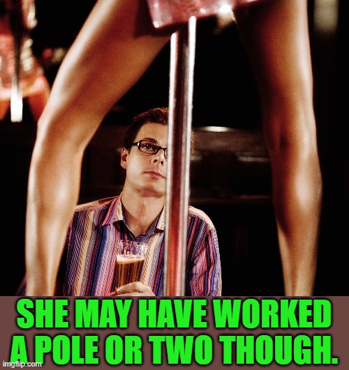 Stripper and Stripper pole | SHE MAY HAVE WORKED A POLE OR TWO THOUGH. | image tagged in stripper and stripper pole | made w/ Imgflip meme maker