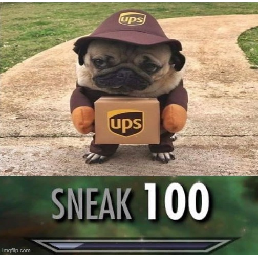 Sneak 100 | image tagged in sneak 100 | made w/ Imgflip meme maker