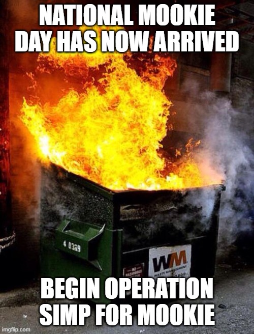 Hell Has Began....Around 28-27-26 hours remain..THE SWITCH NEVER LIES... | NATIONAL MOOKIE DAY HAS NOW ARRIVED; BEGIN OPERATION SIMP FOR MOOKIE | image tagged in dumpster fire | made w/ Imgflip meme maker