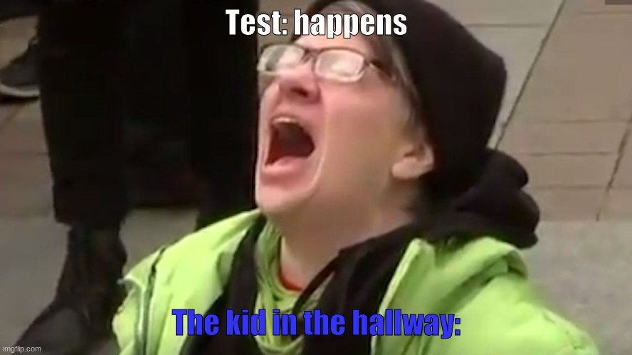 AHHHHH | Test: happens; The kid in the hallway: | image tagged in screaming liberal,funny meme,meme,haha,lol,true | made w/ Imgflip meme maker