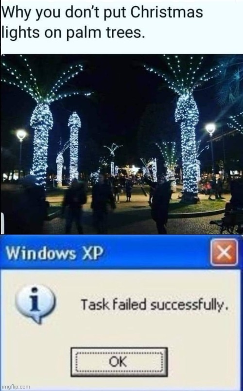 Palm tree lights | image tagged in task failed successfully,facepalm | made w/ Imgflip meme maker