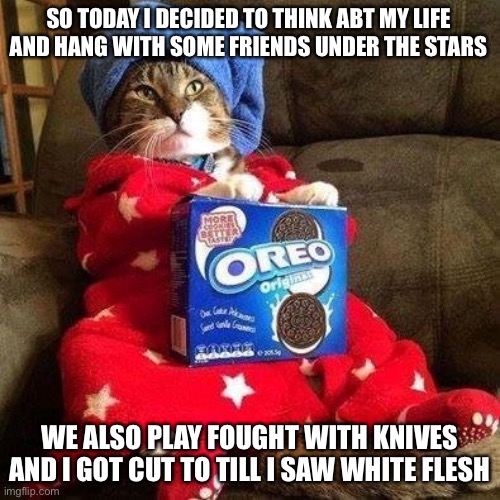 So what y’all do | SO TODAY I DECIDED TO THINK ABT MY LIFE AND HANG WITH SOME FRIENDS UNDER THE STARS; WE ALSO PLAY FOUGHT WITH KNIVES AND I GOT CUT TO TILL I SAW WHITE FLESH | image tagged in chillin cate | made w/ Imgflip meme maker