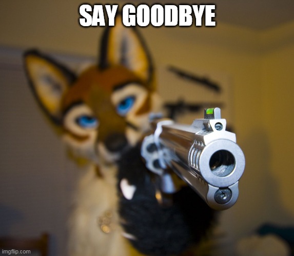 Furry with gun | SAY GOODBYE | image tagged in furry with gun | made w/ Imgflip meme maker