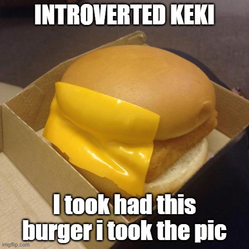 look the reason i talk in memes is bc i cant send comments | INTROVERTED KEKI; I took had this burger i took the pic | image tagged in you had one job,bruh keki i took the pic | made w/ Imgflip meme maker