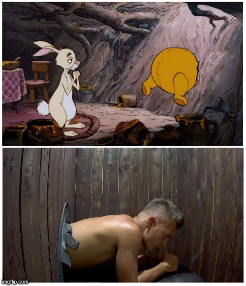 image tagged in czech,rabbit,winnie the pooh,glory hole,fantasy,lgbtq | made w/ Imgflip meme maker