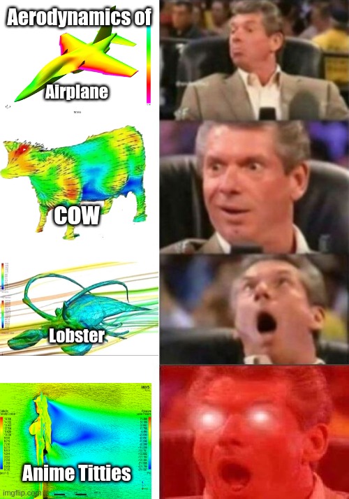 airodainamiks | Aerodynamics of; Airplane; cow; Lobster; Anime Titties | image tagged in mr mcmahon reaction | made w/ Imgflip meme maker