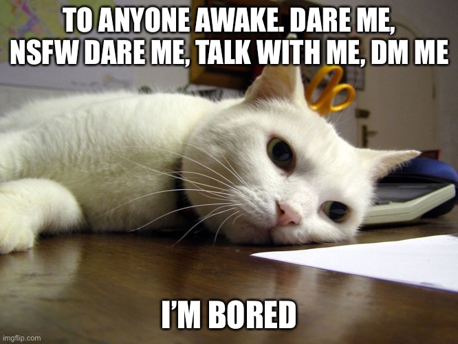 I’m over here dying of boredom lmao | TO ANYONE AWAKE. DARE ME, NSFW DARE ME, TALK WITH ME, DM ME; I’M BORED | image tagged in annoyed tired bored cat | made w/ Imgflip meme maker