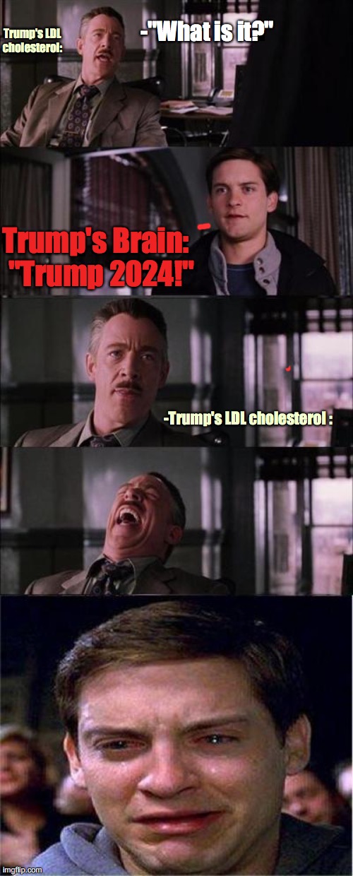 Snowflaking | -"What is it?"; Trump's LDL cholesterol:; Trump's Brain: 





 "Trump 2024!"; -Trump's LDL cholesterol : | image tagged in memes,melting,loser trump,loser,2020,history | made w/ Imgflip meme maker
