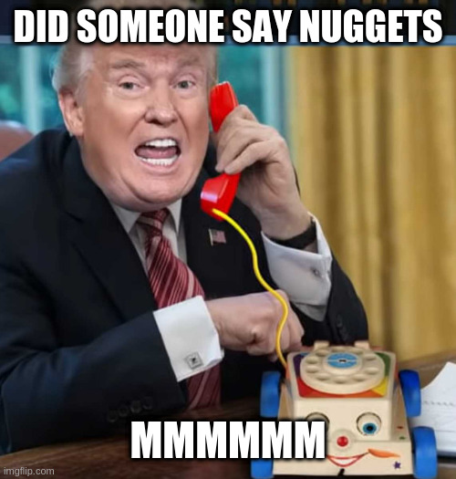 I'm the president | DID SOMEONE SAY NUGGETS MMMMMM | image tagged in i'm the president | made w/ Imgflip meme maker