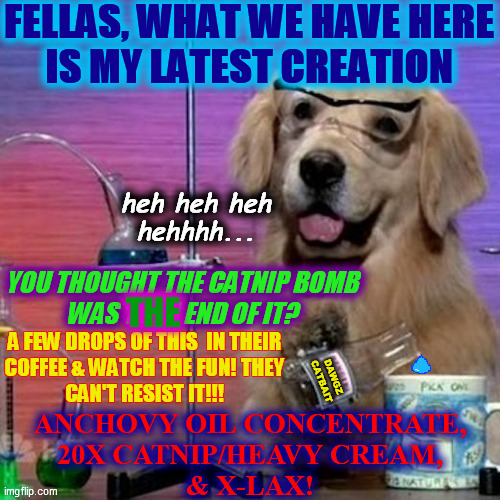 Dawgz. Latest. Creation. |  THE | image tagged in dawg,catbait,anchovies,catnip,mad scientist,edited | made w/ Imgflip meme maker
