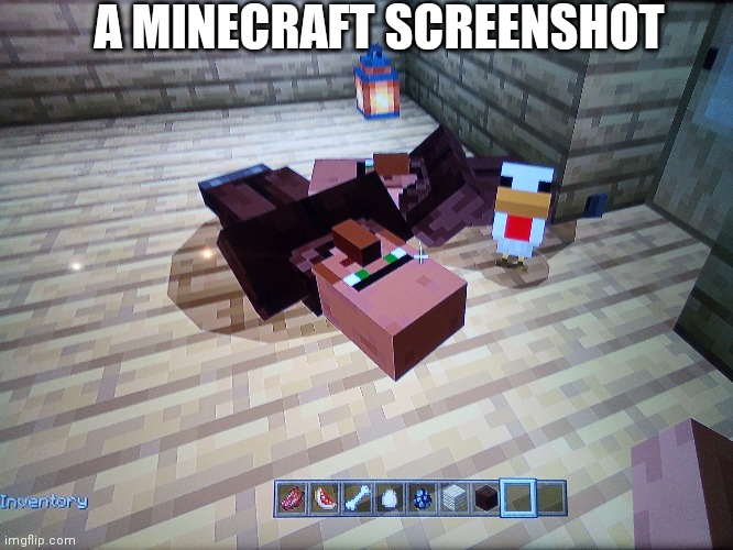 How | A MINECRAFT SCREENSHOT | made w/ Imgflip meme maker