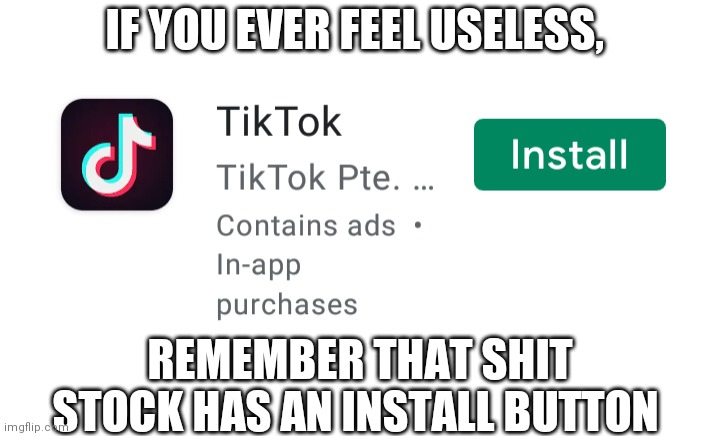 IF YOU EVER FEEL USELESS, REMEMBER THAT SHIT STOCK HAS AN INSTALL BUTTON | image tagged in fuck tik tok | made w/ Imgflip meme maker