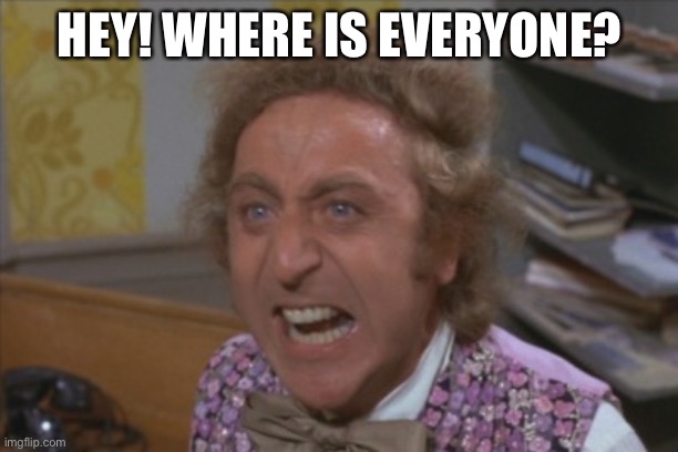 LOLOL just being silly lol | HEY! WHERE IS EVERYONE? | image tagged in angry willy wonka,memes,funny,where is everyone | made w/ Imgflip meme maker