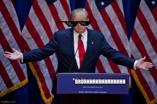 Donald Trump | BRUHHHHHHHHHHHHHH | image tagged in donald trump | made w/ Imgflip meme maker