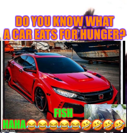 Do you know what a car eats | DO YOU KNOW WHAT A CAR EATS FOR HUNGER? FISH HAHA😂😂😂😂😂🤣🤣🤣🤣 | image tagged in jokes | made w/ Imgflip meme maker