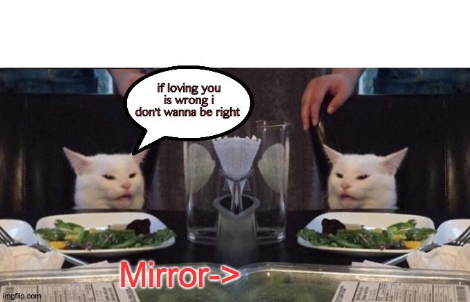 Cat in the mirror | if loving you is wrong i don't wanna be right; Mirror-> | image tagged in pretty,cute cat,2020,mirror,feels,kisses | made w/ Imgflip meme maker