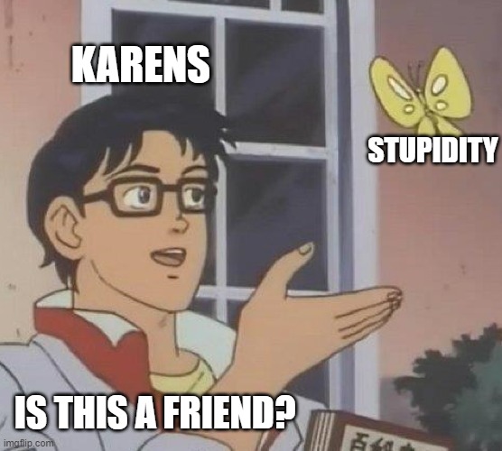 Is This A Pigeon Meme | KARENS; STUPIDITY; IS THIS A FRIEND? | image tagged in memes,is this a pigeon | made w/ Imgflip meme maker