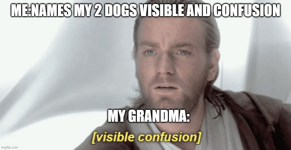 Obi-Wan Visible Confusion | ME:NAMES MY 2 DOGS VISIBLE AND CONFUSION; MY GRANDMA: | image tagged in obi-wan visible confusion | made w/ Imgflip meme maker
