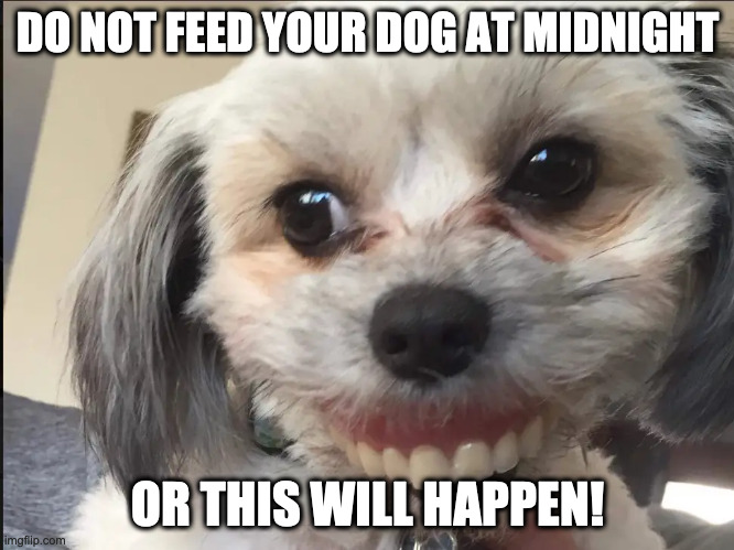 Freaky pet | DO NOT FEED YOUR DOG AT MIDNIGHT; OR THIS WILL HAPPEN! | image tagged in memes,funny animals | made w/ Imgflip meme maker