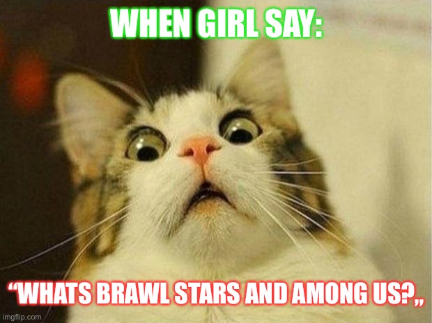 Scared Cat | WHEN GIRL SAY:; “WHATS BRAWL STARS AND AMONG US?„ | image tagged in memes,scared cat | made w/ Imgflip meme maker