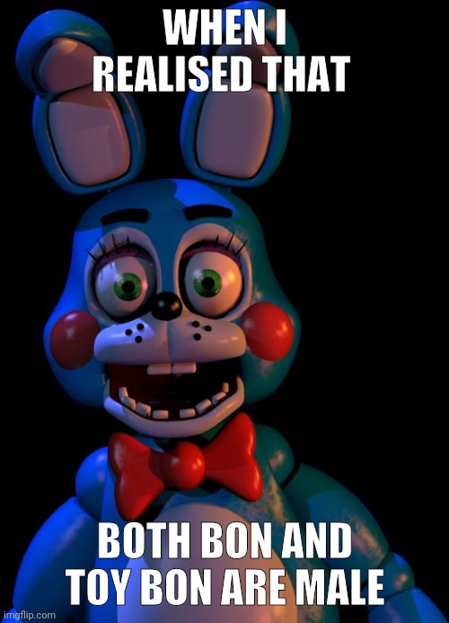 I was young |  WHEN I REALISED THAT; BOTH BON AND TOY BON ARE MALE | image tagged in toy bonnie fnaf | made w/ Imgflip meme maker