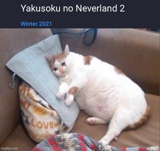 I have to wait for next year's winter | image tagged in crying cat | made w/ Imgflip meme maker
