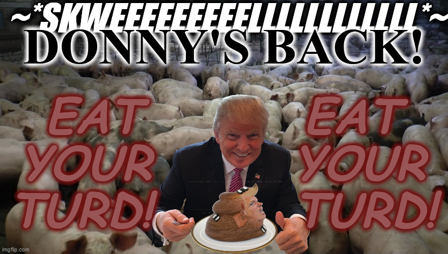 ~*SKWEEEEEEEEELLLLLLLLLLLL*~ DONNY'S BACK! EAT        EAT
YOUR       YOUR
TURD!       TURD! | made w/ Imgflip meme maker