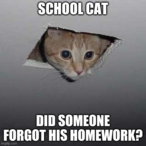 Ceiling Cat | SCHOOL CAT; DID SOMEONE FORGOT HIS HOMEWORK? | image tagged in memes,ceiling cat | made w/ Imgflip meme maker