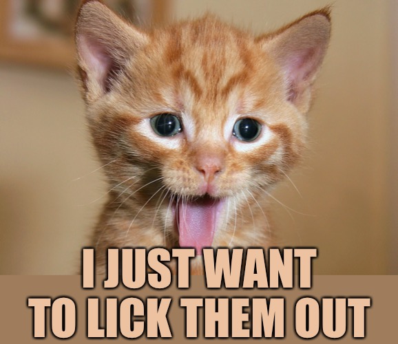 I JUST WANT TO LICK THEM OUT | made w/ Imgflip meme maker