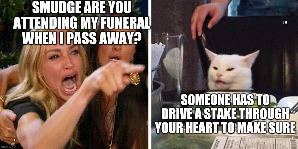 Smudge the cat | SMUDGE ARE YOU ATTENDING MY FUNERAL WHEN I PASS AWAY? J M; SOMEONE HAS TO DRIVE A STAKE THROUGH YOUR HEART TO MAKE SURE | image tagged in smudge the cat | made w/ Imgflip meme maker