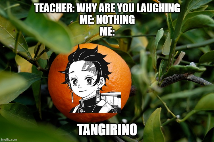 tangirino | TEACHER: WHY ARE YOU LAUGHING
ME: NOTHING
ME:; TANGIRINO | image tagged in demon slayer,anime,memes | made w/ Imgflip meme maker