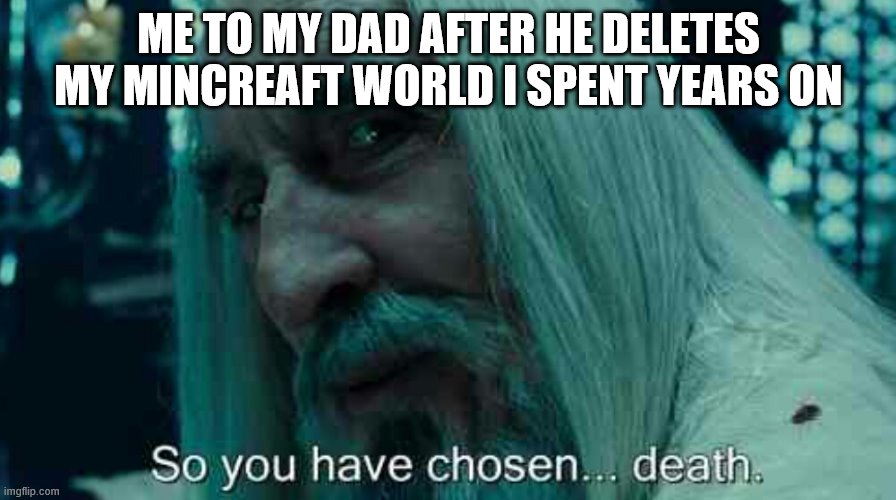 So you have chosen death | ME TO MY DAD AFTER HE DELETES MY MINCREAFT WORLD I SPENT YEARS ON | image tagged in so you have chosen death | made w/ Imgflip meme maker